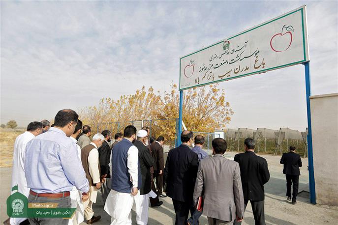 Pakistani 36-Person Group visited Astan Quds Razavi Economic Institutions